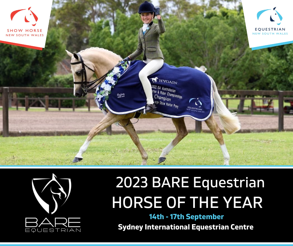 2023 BARE Equestrian Horse of The Year Show Horse New South Wales